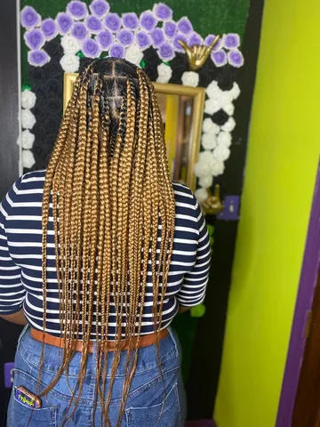 honey blonde knotless box braids with color frosdstories