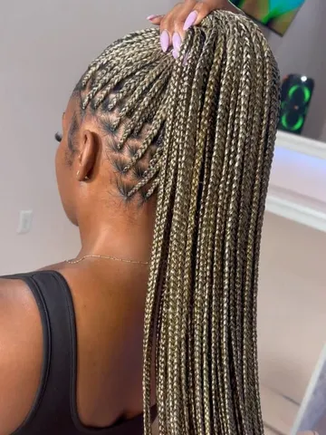 pin by kierra myesha on hair long braids braided cornrow hai