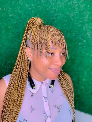 25 blonde braids hairstyles braid hairstyles
