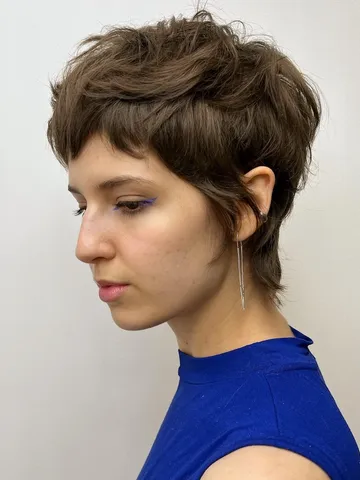 62 pixie mullet haircuts for 2026 trendy edgy effortless sty