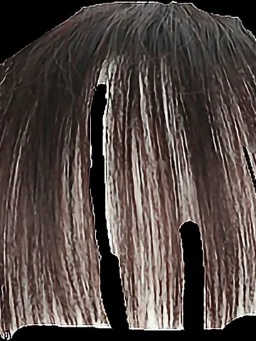 Download Dark Brown Hair Bangs Texture